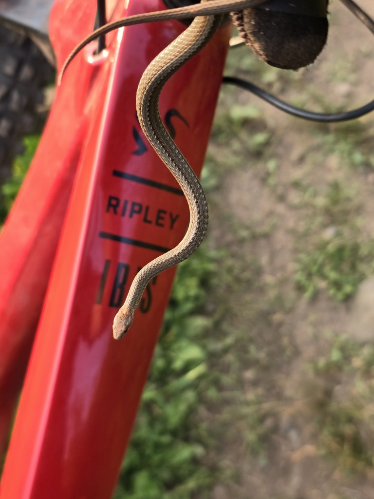 Mountain bike adventure