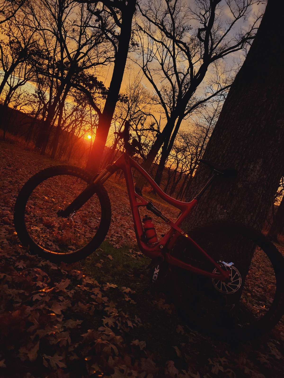 Mountain bike adventure