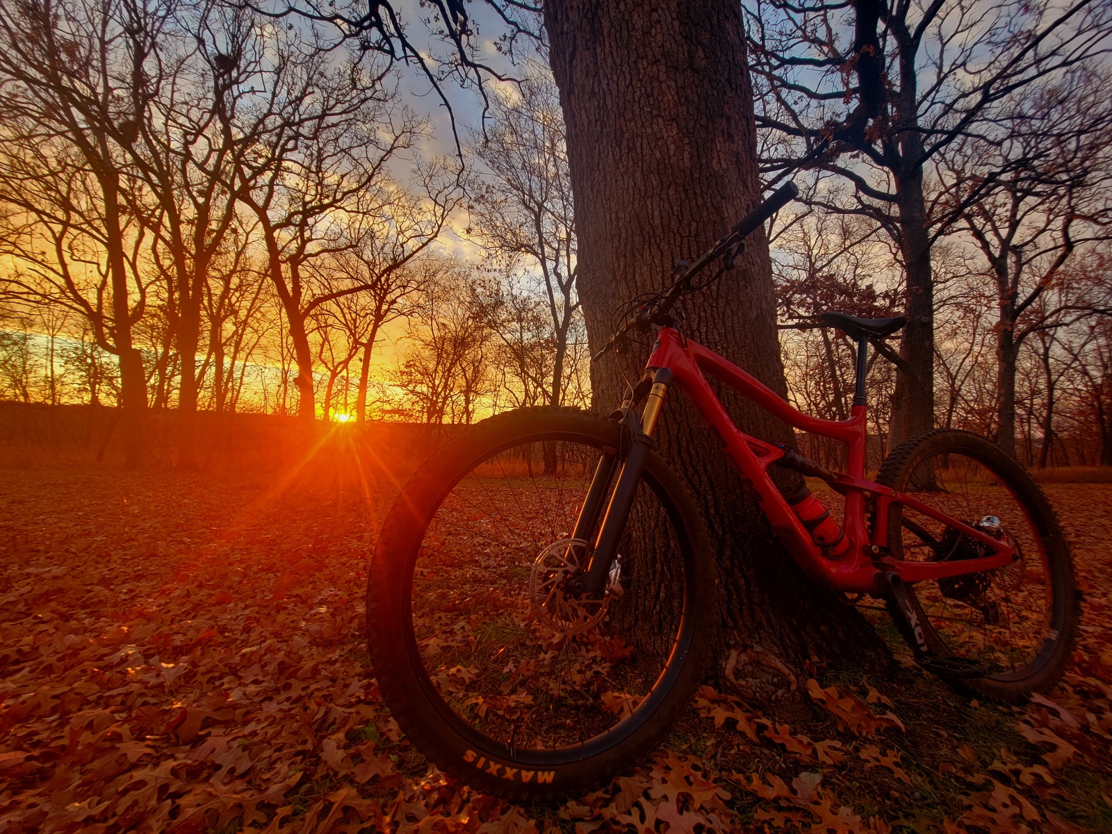 Mountain bike adventure