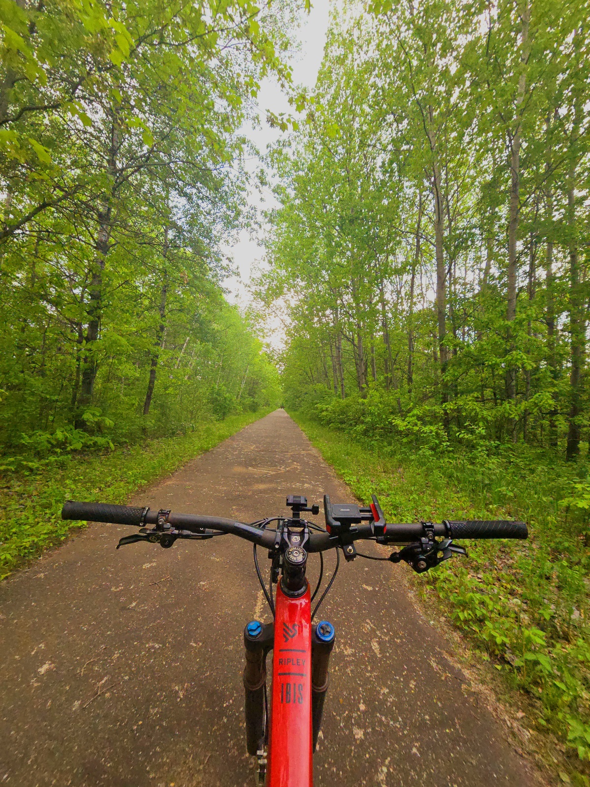 Mountain bike adventure