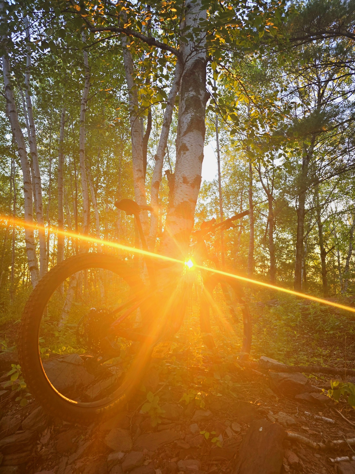 Mountain bike adventure