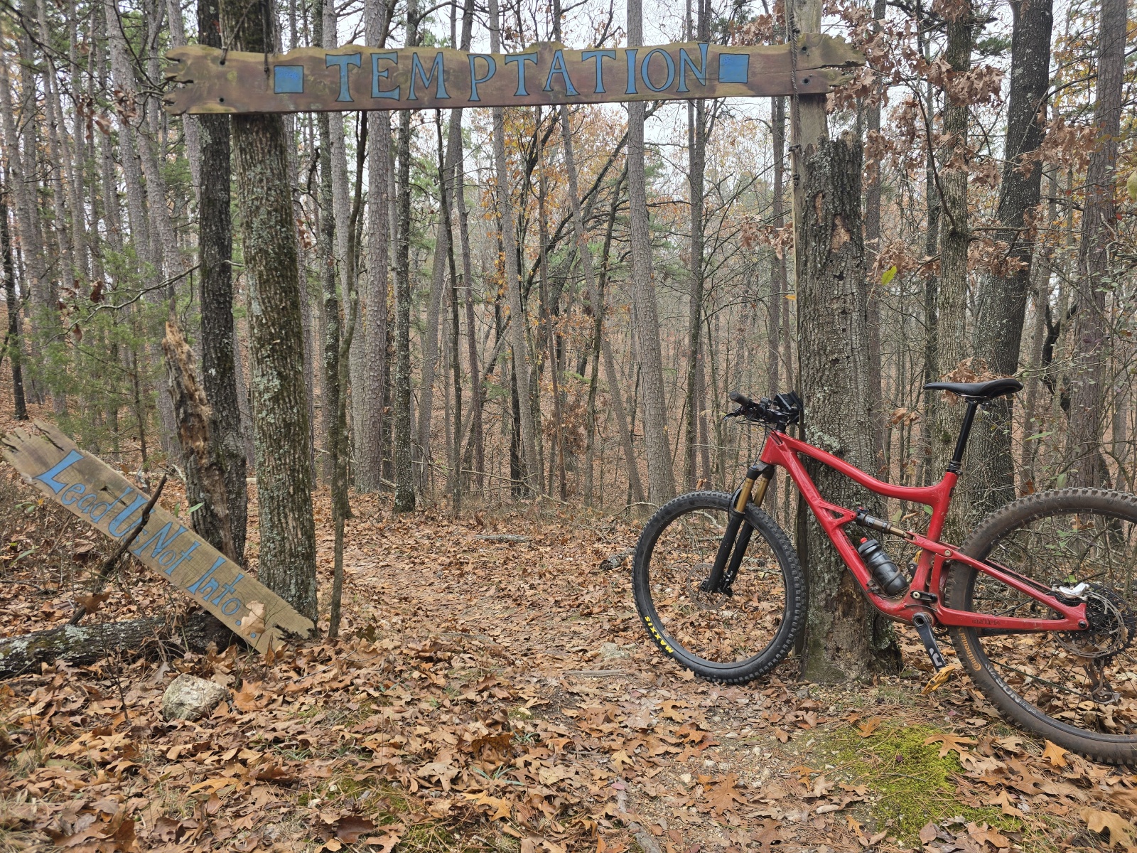 Mountain bike adventure