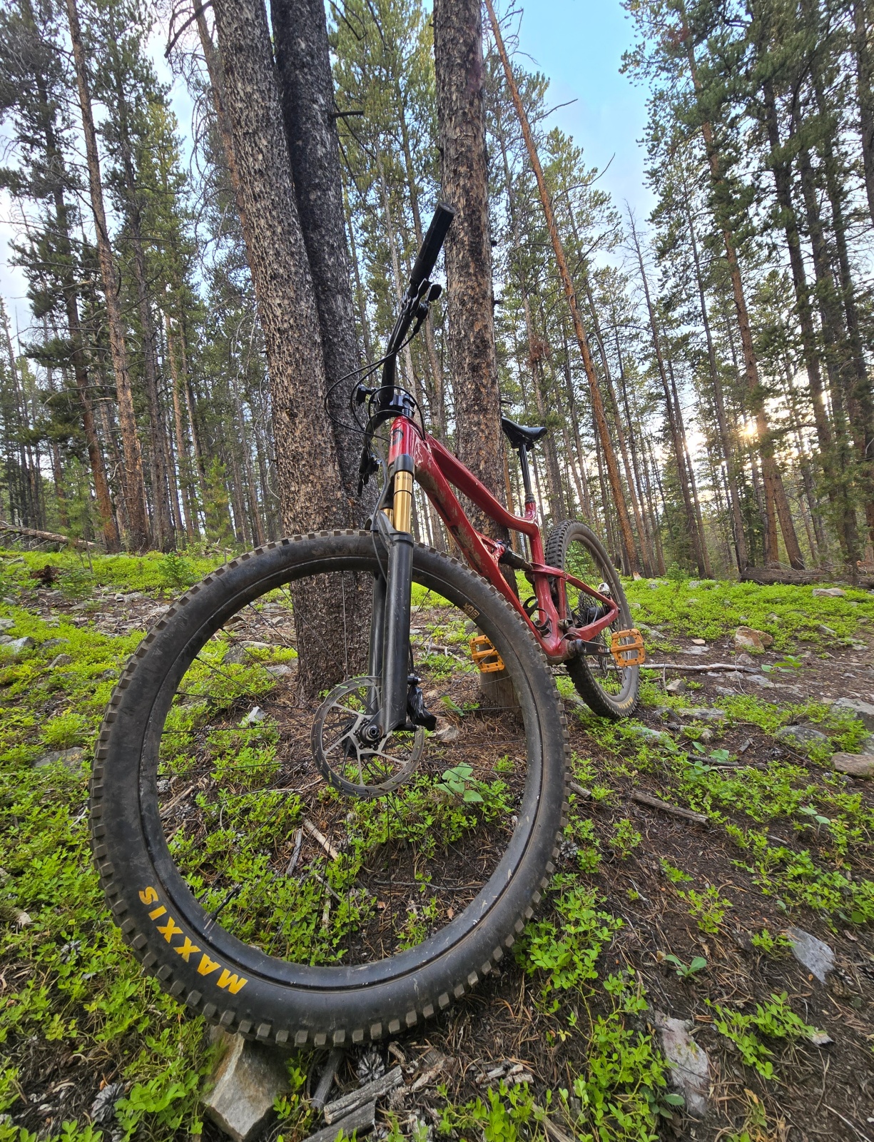 Mountain bike adventure